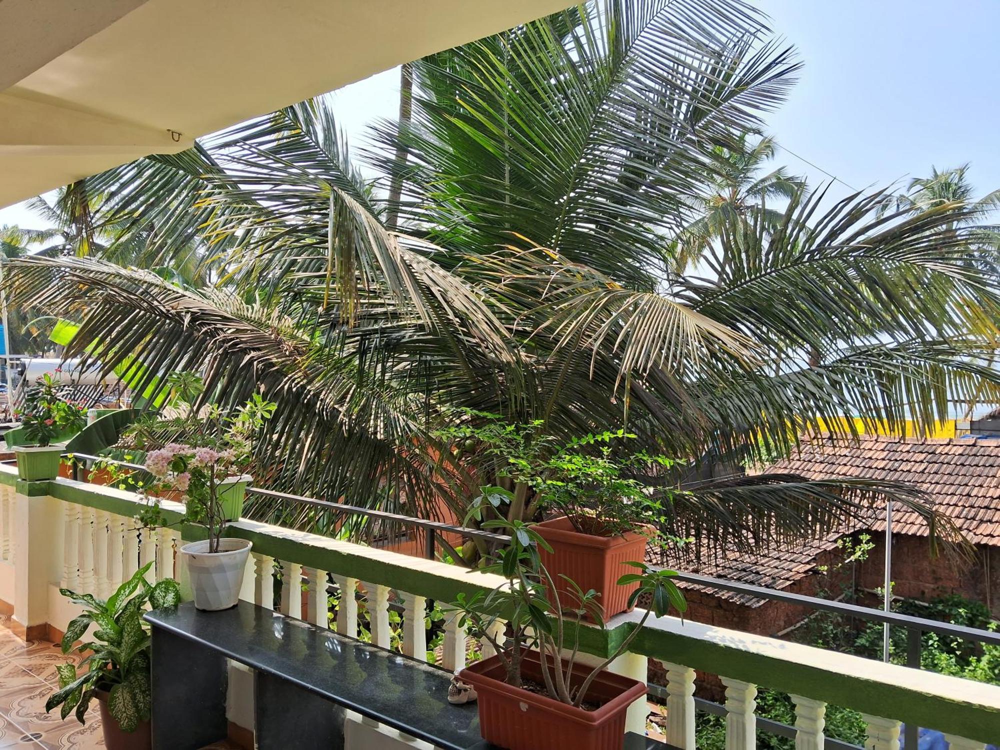 Cupid'S Heaven Resort อากอนดา ห้อง รูปภาพ